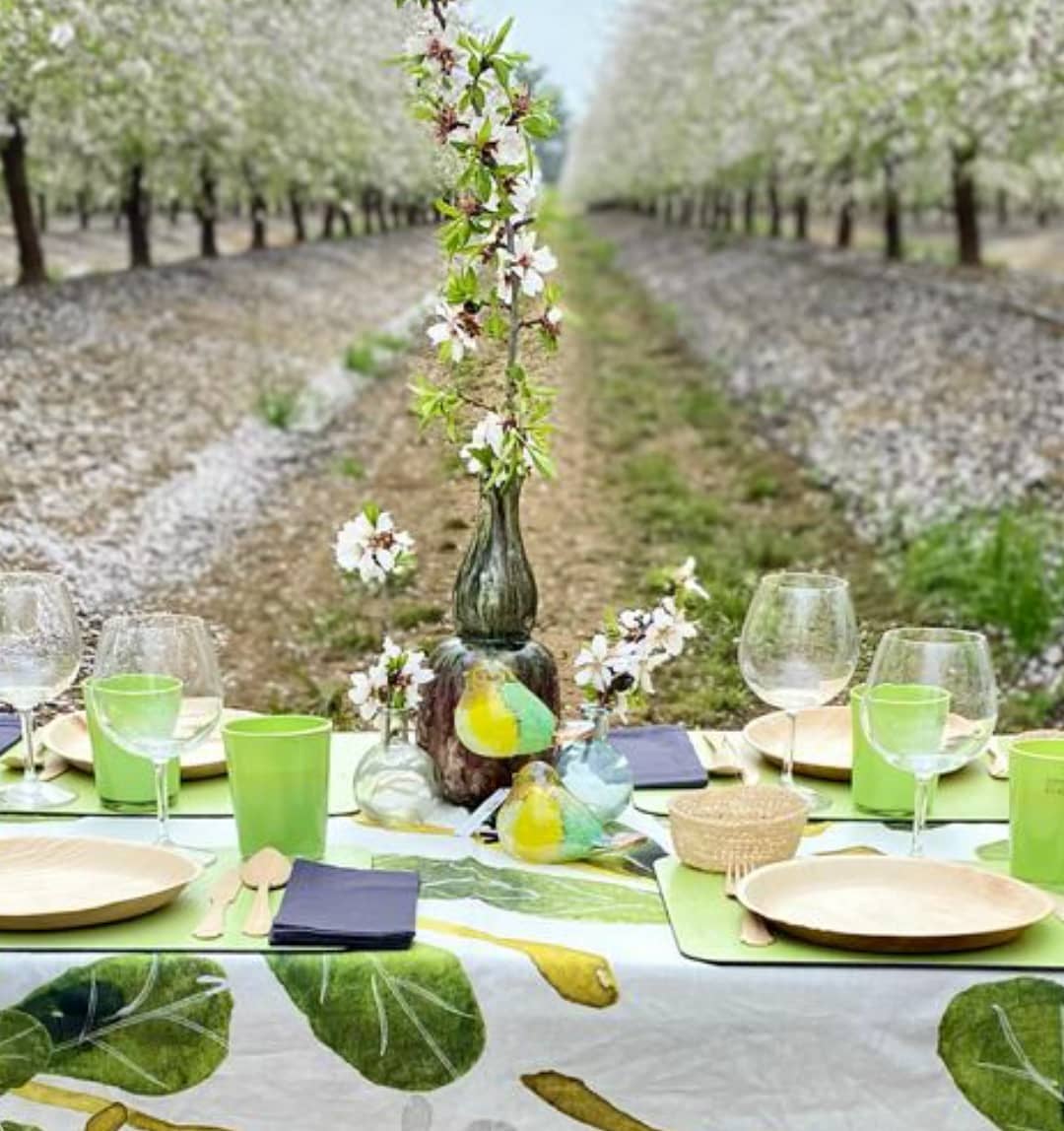 Decoración de boda al aire libre para listas de boda en Sevilla